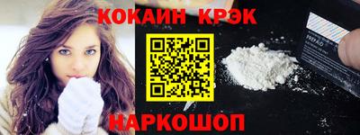 гашик Кингисепп