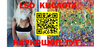 гашик Кингисепп