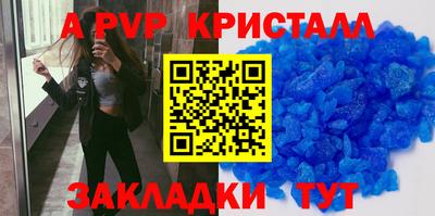 гашик Кингисепп