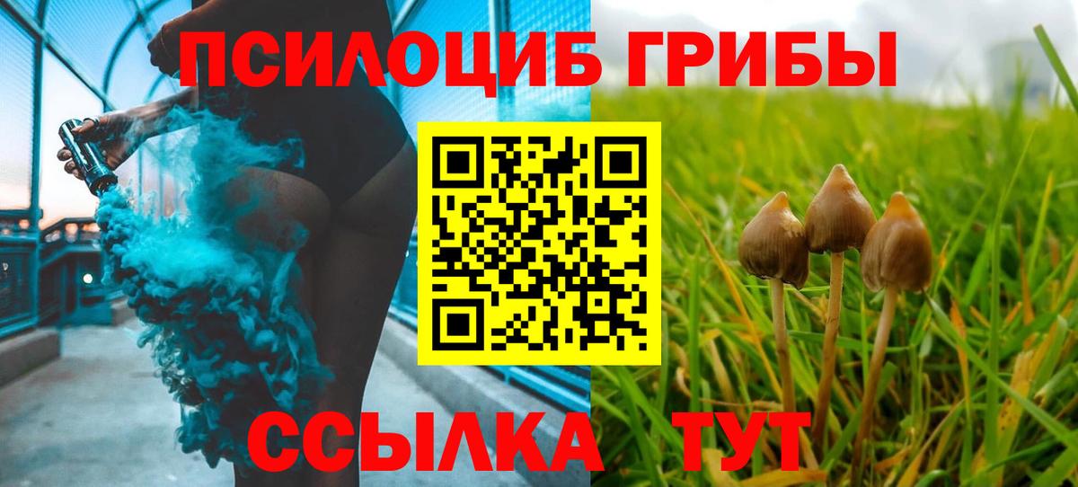 Глазов  Галлюциногенные грибы MAGIC MUSHROOMS  Вход с VPN 